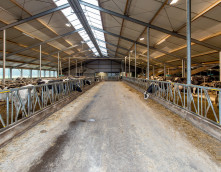 Exel: Stallenbouw Kempers-Dalfsen vernieuwbouw stal