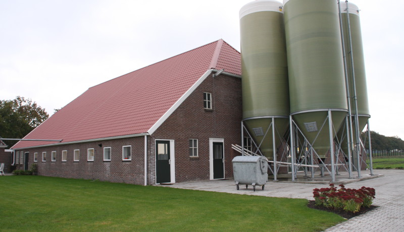 verbouw stal varkensstal vernieuwbouw renovatie Stallenbouw agrarische bouw varkenshouderij varkenstallen