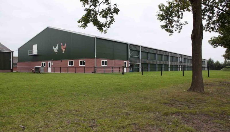 Exel Stallenbouw: pluimveestallen