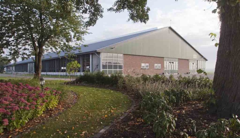 Stallenbouw Exel Lemele: v.d. berg lemelerveld ligboxenstal