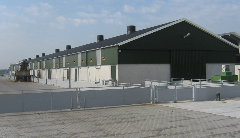 Stallenbouw Exel Lemele: vrije uitloopstal Dedemsvaart