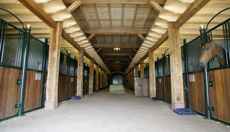 Paardenhouderij paarden stoeterij manege