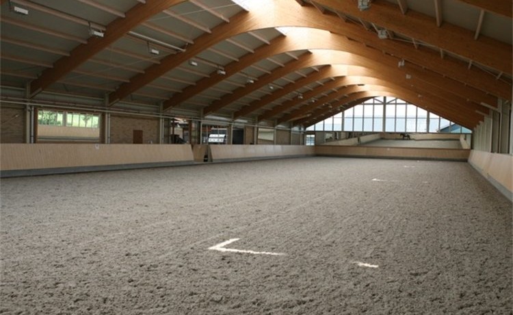 Paardenhouderij paarden stoeterij manege