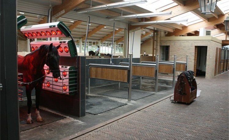 Paardenhouderij paarden stoeterij manege