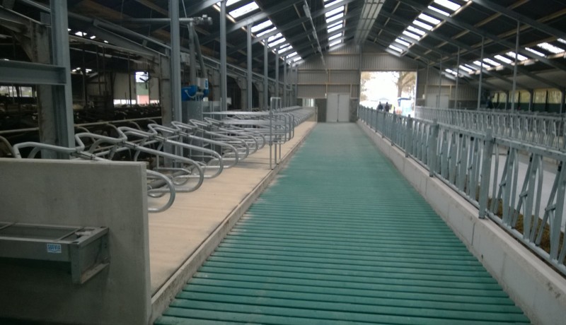 Exel Lemele Klaassen Dwingelo rundveestal groene vlag koeienstal stallenbouw oplevering voergang emissie arme vloer